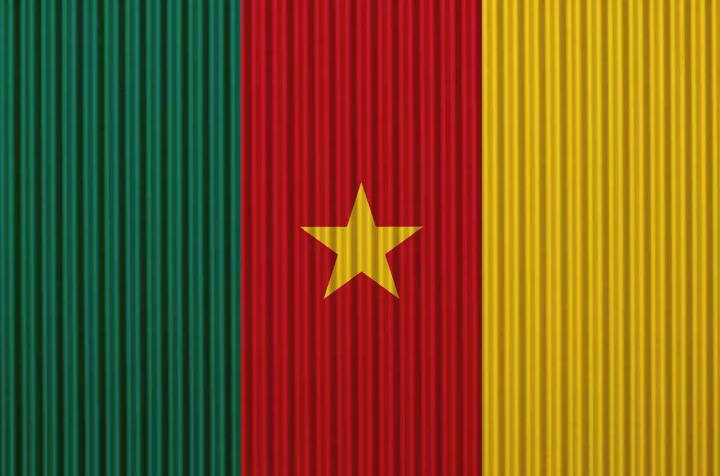 Jumia隆重推出第7个国际站点：喀麦隆（Cameroon）