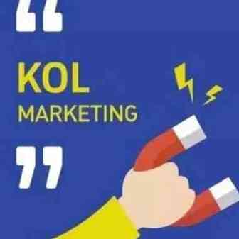 社交电商的风口 KOL营销成为流量新入口？