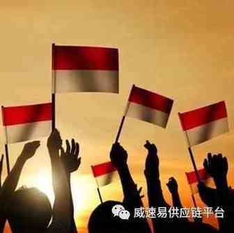 揭秘印尼电商市场特性：仅这一品类的年销售额就在30亿美元以上