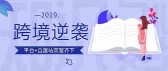 2019年跨境卖家如何逆袭？平台+自建站双管齐下