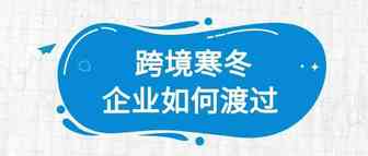 跨境寒冬，这20%幸存的企业都在做什么？