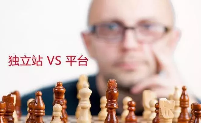 想赚老外的钱，跨境电商新手卖家是做独立站还是平台?