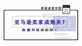 亚马逊卖家成炮灰？欧洲要开征新税种！