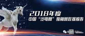 【PPT】《2018年度中国泛电商“独角兽”数据报告》发布