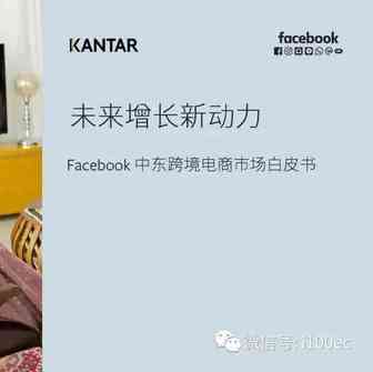 【PPT】《中东跨境电商市场白皮书》