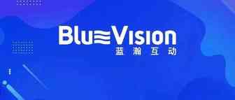对话蓝瀚互动：一年在海外投放了100亿后 看到的出海推广最大痛