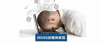 Moss：针对亚马逊525大屠杀的思考和复盘