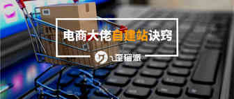 百万美元的电商大佬自建站诀窍，它的画风为什么和我不一样?！