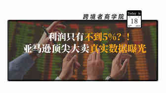 利润只有不到5%？！亚马逊顶尖大卖真实数据曝光