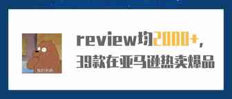 review均2000+，在亚马逊上卖爆的39款产品