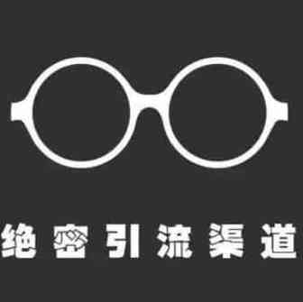 听说跨境电商独立站使用这个渠道后 ROI提高到600%？