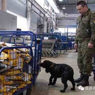 又一俄语系国家开始对国外包裹征收增值税！
