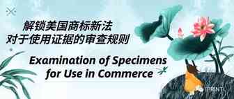 解锁美国商标新法关于使用证据的审查规则