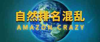 亚马逊系统崩了吗，什么时候才能解决关键词自然排名错乱这个问题？