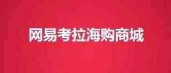 网易考拉硬核能打 若真卖了将触动跨境电商格局
