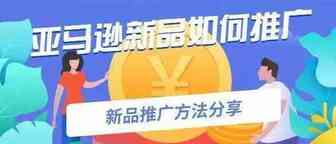 干货！亚马逊新品期，卖家应该怎么推广