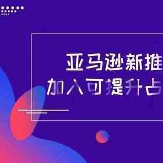 亚马逊新推增值税计算服务，加入可提升占有黄金购物车机会！