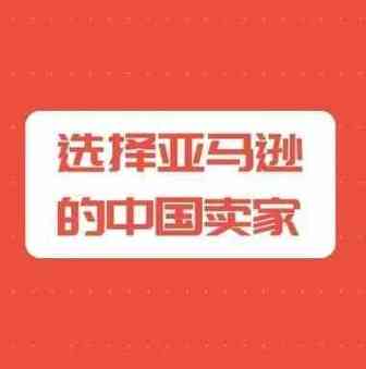 为何有那么多的中国卖家选择亚马逊？
