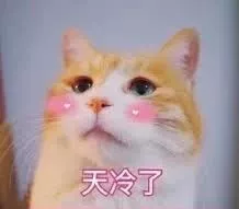 产品端变化一周重点 | 优惠券新功能上线，买家可存入预付积分