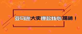 深扒亚马逊用户需求，选出爆款没那么难！