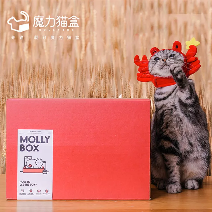 探究中国宠物订阅电商MollyBox
