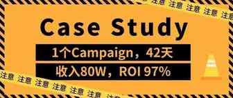 【Case study】1个Campaign，42天，收入80W，ROI 97％