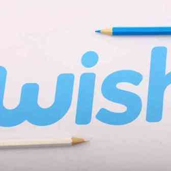 【行业动态】南美洲和东南亚潜力巨大 Wish出手加码当地物流
