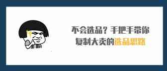 不会选品？手把手带你复制大卖的选品思路