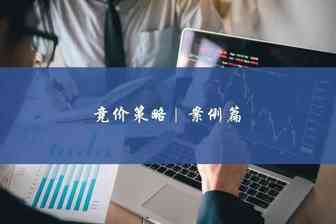案例篇 | 亚马逊站内广告，巧用竞价策略，广告效益最大化！