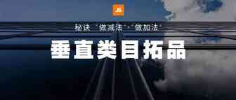 垂直类目快速拓品的四大花式玩法