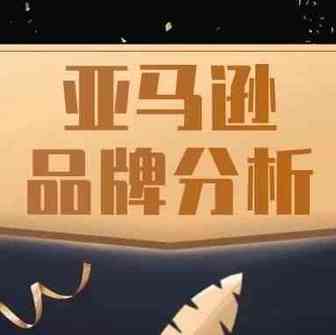 如何降低广告成本，促进销售？首要了解亚马逊品牌分析