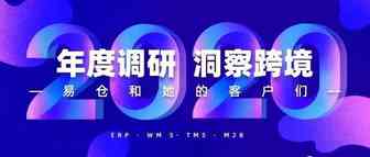 《2019-2020年：回顾&趋势跨境行业数据报告》