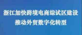【两会好声音】省商务厅厅长盛秋平：浙江加快跨境电商综试区建设，推动外贸数字化转型