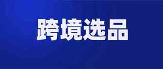 跨境卖家：谈谈我对选品的几点看法