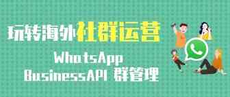 玩转海外社群运营-WhatsApp Business API群管理