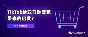 TikTok给亚马逊卖家带来的启发？