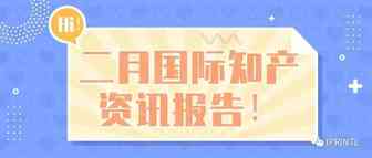 二月国际知产资讯报告