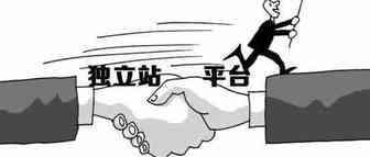口罩禁止出口？假的丨口罩战役引发的思考：亚马逊与独立站的PK中谁会获胜？