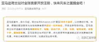2020年亚马逊最值得投入站点推荐及剖析（附亚马逊荷兰开店方法）