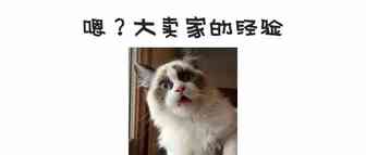 优秀的大卖家是怎么做Shopee虾皮的？