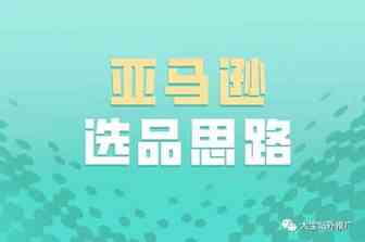 选品思维分享