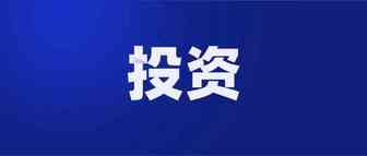 危中存机：东南亚电商卖家的本土化之路