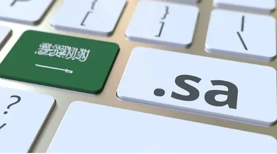 Covid-19危机并存：沙特电子商务显著增长