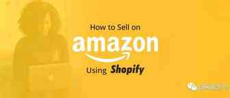 不用Amazon广告单品月销量突破60万美金，让Shopify新站24小时内出单