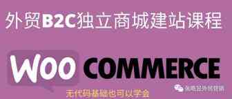我为什么录建站运营视频课程？