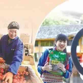 行业动态 | 电商助农，“一时火”还要“一直火”