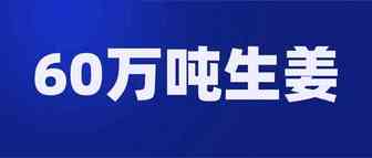 跨境卖家郁闷了！COVID-19期间印尼热销的都是些啥：摄像头、游戏机、自行车，还有生姜