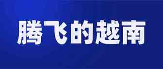 深度解析：从2019到2020，越南电商经历了什么，将会怎样发展