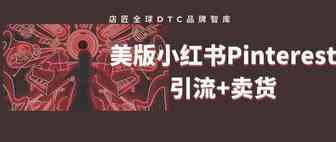 美版小红书Pinterest的引流+卖货