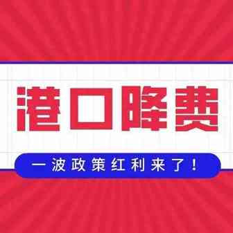 利好！货物滞港、码头拥堵，多国港口降费政策来了！